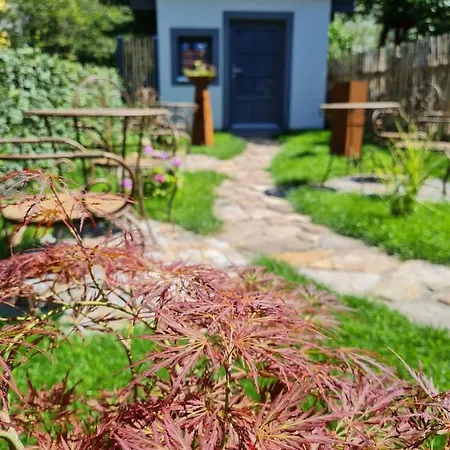 Altes Hinterhaeusel מלון